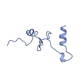 42566_8uu7_n_v1-1
Cryo-EM structure of the Listeria innocua 70S ribosome in complex with HflXr, HPF, and E-site tRNA (structure II-B)