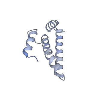 42566_8uu7_o_v1-1
Cryo-EM structure of the Listeria innocua 70S ribosome in complex with HflXr, HPF, and E-site tRNA (structure II-B)