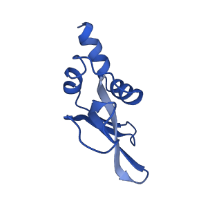 42566_8uu7_p_v1-1
Cryo-EM structure of the Listeria innocua 70S ribosome in complex with HflXr, HPF, and E-site tRNA (structure II-B)