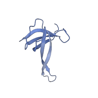 42566_8uu7_q_v1-1
Cryo-EM structure of the Listeria innocua 70S ribosome in complex with HflXr, HPF, and E-site tRNA (structure II-B)