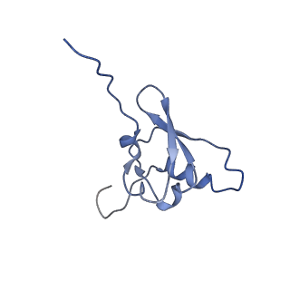 42566_8uu7_s_v1-1
Cryo-EM structure of the Listeria innocua 70S ribosome in complex with HflXr, HPF, and E-site tRNA (structure II-B)