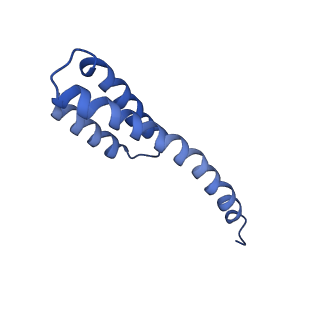 42566_8uu7_t_v1-1
Cryo-EM structure of the Listeria innocua 70S ribosome in complex with HflXr, HPF, and E-site tRNA (structure II-B)