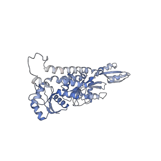 42566_8uu7_v_v1-1
Cryo-EM structure of the Listeria innocua 70S ribosome in complex with HflXr, HPF, and E-site tRNA (structure II-B)