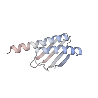 42566_8uu7_w_v1-1
Cryo-EM structure of the Listeria innocua 70S ribosome in complex with HflXr, HPF, and E-site tRNA (structure II-B)