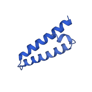 42571_8uu8_1_v1-1
Cryo-EM structure of the Listeria innocua 70S ribosome (head-swiveled) in complex with HflXr and pe/E-tRNA (structure II-C)