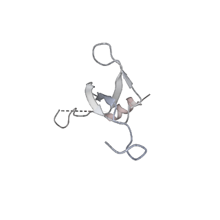 42571_8uu8_3_v1-1
Cryo-EM structure of the Listeria innocua 70S ribosome (head-swiveled) in complex with HflXr and pe/E-tRNA (structure II-C)