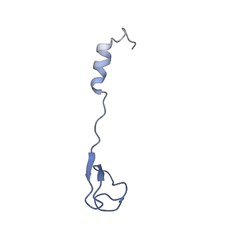 42571_8uu8_4_v1-1
Cryo-EM structure of the Listeria innocua 70S ribosome (head-swiveled) in complex with HflXr and pe/E-tRNA (structure II-C)