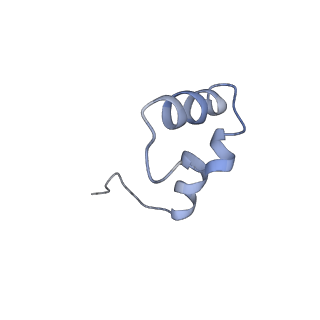 42571_8uu8_6_v1-1
Cryo-EM structure of the Listeria innocua 70S ribosome (head-swiveled) in complex with HflXr and pe/E-tRNA (structure II-C)