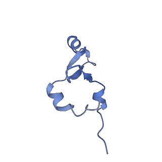 42571_8uu8_7_v1-1
Cryo-EM structure of the Listeria innocua 70S ribosome (head-swiveled) in complex with HflXr and pe/E-tRNA (structure II-C)