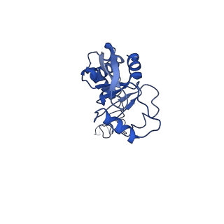 42571_8uu8_E_v1-1
Cryo-EM structure of the Listeria innocua 70S ribosome (head-swiveled) in complex with HflXr and pe/E-tRNA (structure II-C)