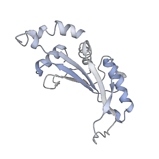 42571_8uu8_F_v1-1
Cryo-EM structure of the Listeria innocua 70S ribosome (head-swiveled) in complex with HflXr and pe/E-tRNA (structure II-C)