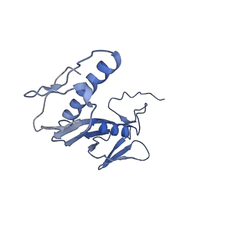 42571_8uu8_G_v1-1
Cryo-EM structure of the Listeria innocua 70S ribosome (head-swiveled) in complex with HflXr and pe/E-tRNA (structure II-C)