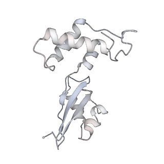 42571_8uu8_H_v1-1
Cryo-EM structure of the Listeria innocua 70S ribosome (head-swiveled) in complex with HflXr and pe/E-tRNA (structure II-C)