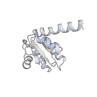 42571_8uu8_I_v1-1
Cryo-EM structure of the Listeria innocua 70S ribosome (head-swiveled) in complex with HflXr and pe/E-tRNA (structure II-C)