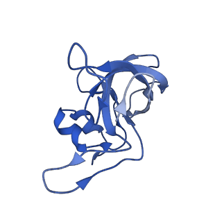 42571_8uu8_M_v1-1
Cryo-EM structure of the Listeria innocua 70S ribosome (head-swiveled) in complex with HflXr and pe/E-tRNA (structure II-C)