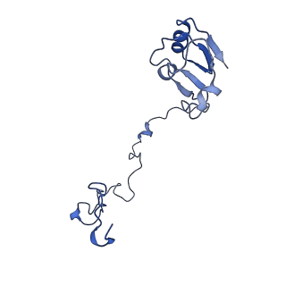 42571_8uu8_N_v1-1
Cryo-EM structure of the Listeria innocua 70S ribosome (head-swiveled) in complex with HflXr and pe/E-tRNA (structure II-C)