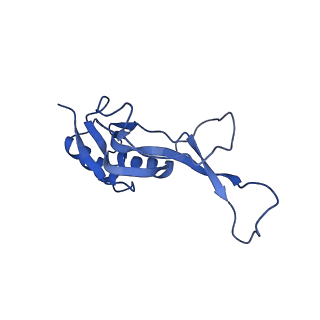 42571_8uu8_O_v1-1
Cryo-EM structure of the Listeria innocua 70S ribosome (head-swiveled) in complex with HflXr and pe/E-tRNA (structure II-C)