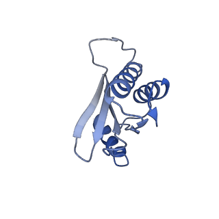 42571_8uu8_Q_v1-1
Cryo-EM structure of the Listeria innocua 70S ribosome (head-swiveled) in complex with HflXr and pe/E-tRNA (structure II-C)