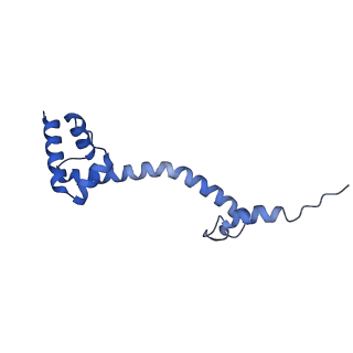 42571_8uu8_S_v1-1
Cryo-EM structure of the Listeria innocua 70S ribosome (head-swiveled) in complex with HflXr and pe/E-tRNA (structure II-C)
