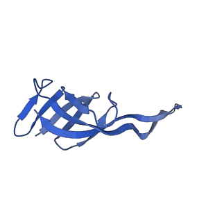 42571_8uu8_T_v1-1
Cryo-EM structure of the Listeria innocua 70S ribosome (head-swiveled) in complex with HflXr and pe/E-tRNA (structure II-C)