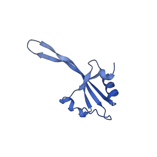 42571_8uu8_V_v1-1
Cryo-EM structure of the Listeria innocua 70S ribosome (head-swiveled) in complex with HflXr and pe/E-tRNA (structure II-C)