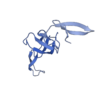 42571_8uu8_W_v1-1
Cryo-EM structure of the Listeria innocua 70S ribosome (head-swiveled) in complex with HflXr and pe/E-tRNA (structure II-C)