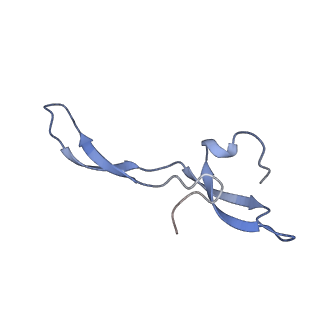 42571_8uu8_Z_v1-1
Cryo-EM structure of the Listeria innocua 70S ribosome (head-swiveled) in complex with HflXr and pe/E-tRNA (structure II-C)