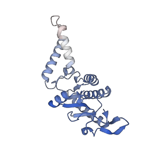 42571_8uu8_b_v1-1
Cryo-EM structure of the Listeria innocua 70S ribosome (head-swiveled) in complex with HflXr and pe/E-tRNA (structure II-C)