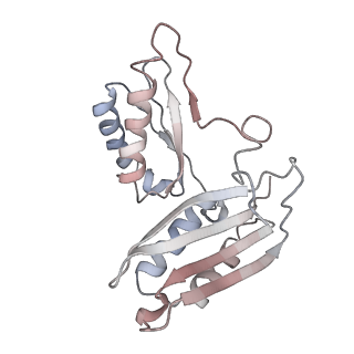 42571_8uu8_c_v1-1
Cryo-EM structure of the Listeria innocua 70S ribosome (head-swiveled) in complex with HflXr and pe/E-tRNA (structure II-C)