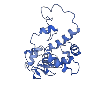 42571_8uu8_d_v1-1
Cryo-EM structure of the Listeria innocua 70S ribosome (head-swiveled) in complex with HflXr and pe/E-tRNA (structure II-C)