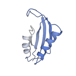 42571_8uu8_f_v1-1
Cryo-EM structure of the Listeria innocua 70S ribosome (head-swiveled) in complex with HflXr and pe/E-tRNA (structure II-C)