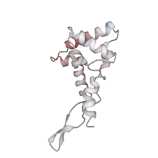 42571_8uu8_g_v1-1
Cryo-EM structure of the Listeria innocua 70S ribosome (head-swiveled) in complex with HflXr and pe/E-tRNA (structure II-C)