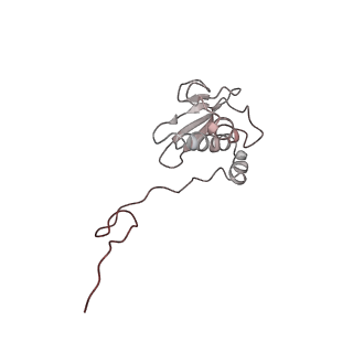 42571_8uu8_i_v1-1
Cryo-EM structure of the Listeria innocua 70S ribosome (head-swiveled) in complex with HflXr and pe/E-tRNA (structure II-C)