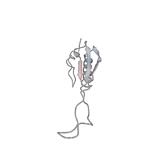 42571_8uu8_j_v1-1
Cryo-EM structure of the Listeria innocua 70S ribosome (head-swiveled) in complex with HflXr and pe/E-tRNA (structure II-C)