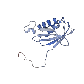 42571_8uu8_k_v1-1
Cryo-EM structure of the Listeria innocua 70S ribosome (head-swiveled) in complex with HflXr and pe/E-tRNA (structure II-C)