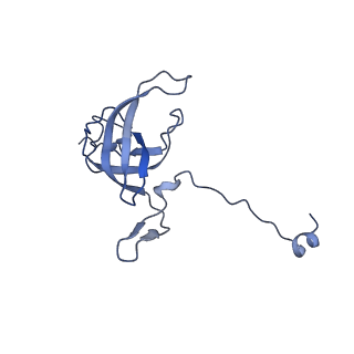 42571_8uu8_l_v1-1
Cryo-EM structure of the Listeria innocua 70S ribosome (head-swiveled) in complex with HflXr and pe/E-tRNA (structure II-C)