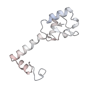 42571_8uu8_m_v1-1
Cryo-EM structure of the Listeria innocua 70S ribosome (head-swiveled) in complex with HflXr and pe/E-tRNA (structure II-C)