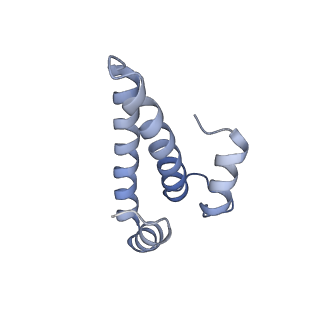 42571_8uu8_o_v1-1
Cryo-EM structure of the Listeria innocua 70S ribosome (head-swiveled) in complex with HflXr and pe/E-tRNA (structure II-C)