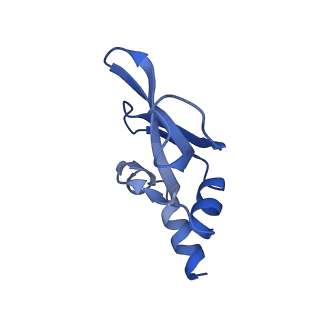 42571_8uu8_p_v1-1
Cryo-EM structure of the Listeria innocua 70S ribosome (head-swiveled) in complex with HflXr and pe/E-tRNA (structure II-C)