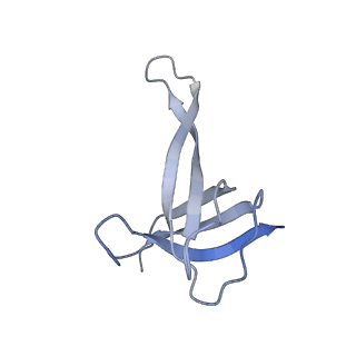 42571_8uu8_q_v1-1
Cryo-EM structure of the Listeria innocua 70S ribosome (head-swiveled) in complex with HflXr and pe/E-tRNA (structure II-C)