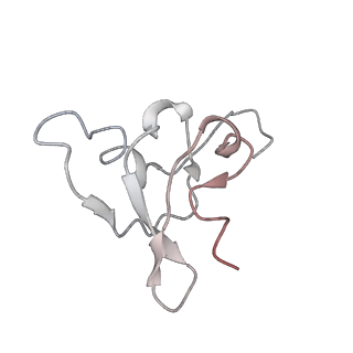 42571_8uu8_s_v1-1
Cryo-EM structure of the Listeria innocua 70S ribosome (head-swiveled) in complex with HflXr and pe/E-tRNA (structure II-C)