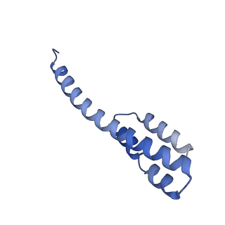 42571_8uu8_t_v1-1
Cryo-EM structure of the Listeria innocua 70S ribosome (head-swiveled) in complex with HflXr and pe/E-tRNA (structure II-C)