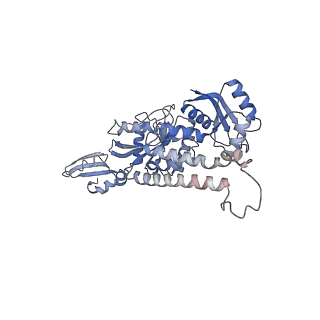 42571_8uu8_v_v1-1
Cryo-EM structure of the Listeria innocua 70S ribosome (head-swiveled) in complex with HflXr and pe/E-tRNA (structure II-C)