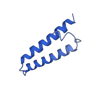 42576_8uu9_1_v1-1
Cryo-EM structure of the ratcheted Listeria innocua 70S ribosome (head-swiveled) in complex with HflXr and pe/E-tRNA (structure II-D)