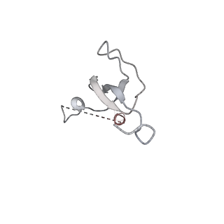 42576_8uu9_3_v1-1
Cryo-EM structure of the ratcheted Listeria innocua 70S ribosome (head-swiveled) in complex with HflXr and pe/E-tRNA (structure II-D)