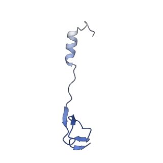 42576_8uu9_4_v1-1
Cryo-EM structure of the ratcheted Listeria innocua 70S ribosome (head-swiveled) in complex with HflXr and pe/E-tRNA (structure II-D)