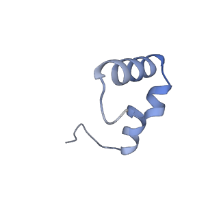 42576_8uu9_6_v1-1
Cryo-EM structure of the ratcheted Listeria innocua 70S ribosome (head-swiveled) in complex with HflXr and pe/E-tRNA (structure II-D)