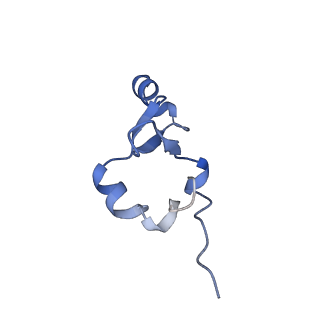 42576_8uu9_7_v1-1
Cryo-EM structure of the ratcheted Listeria innocua 70S ribosome (head-swiveled) in complex with HflXr and pe/E-tRNA (structure II-D)