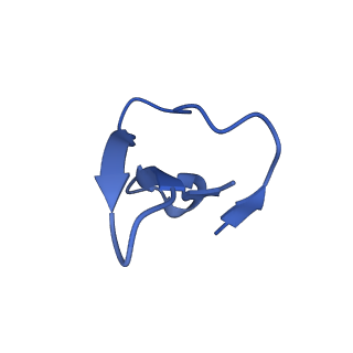 42576_8uu9_8_v1-1
Cryo-EM structure of the ratcheted Listeria innocua 70S ribosome (head-swiveled) in complex with HflXr and pe/E-tRNA (structure II-D)