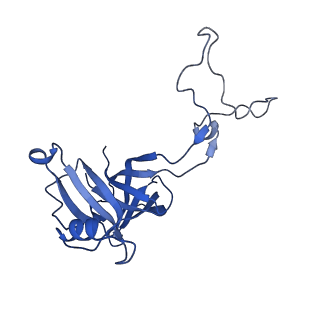 42576_8uu9_D_v1-1
Cryo-EM structure of the ratcheted Listeria innocua 70S ribosome (head-swiveled) in complex with HflXr and pe/E-tRNA (structure II-D)